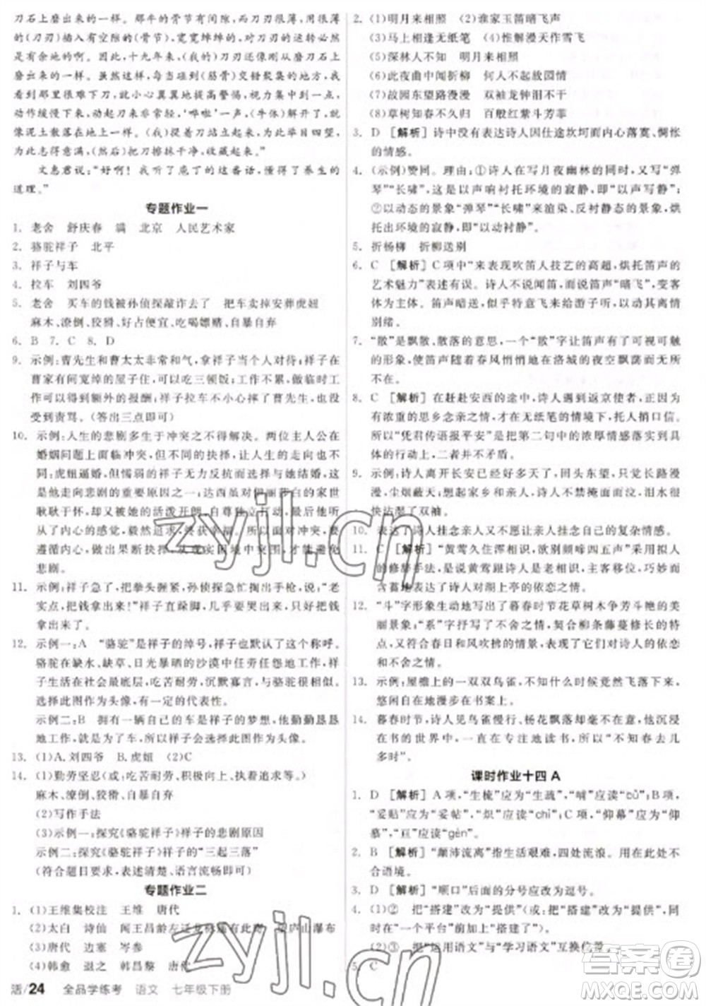 陽光出版社2023全品學(xué)練考七年級(jí)下冊(cè)語文人教版參考答案