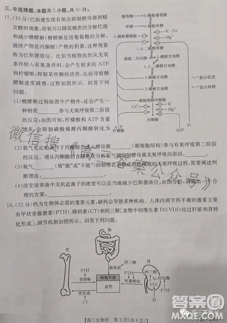 2023湖南金太陽(yáng)聯(lián)考23273C高三生物試卷答案