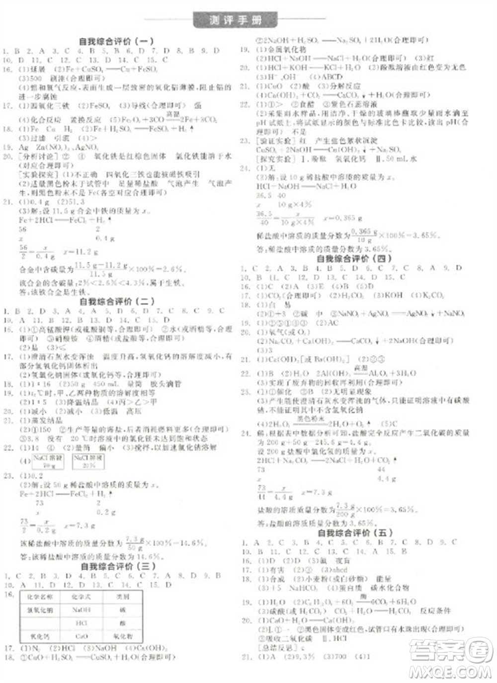 陽光出版社2023全品學(xué)練考九年級下冊化學(xué)人教版參考答案