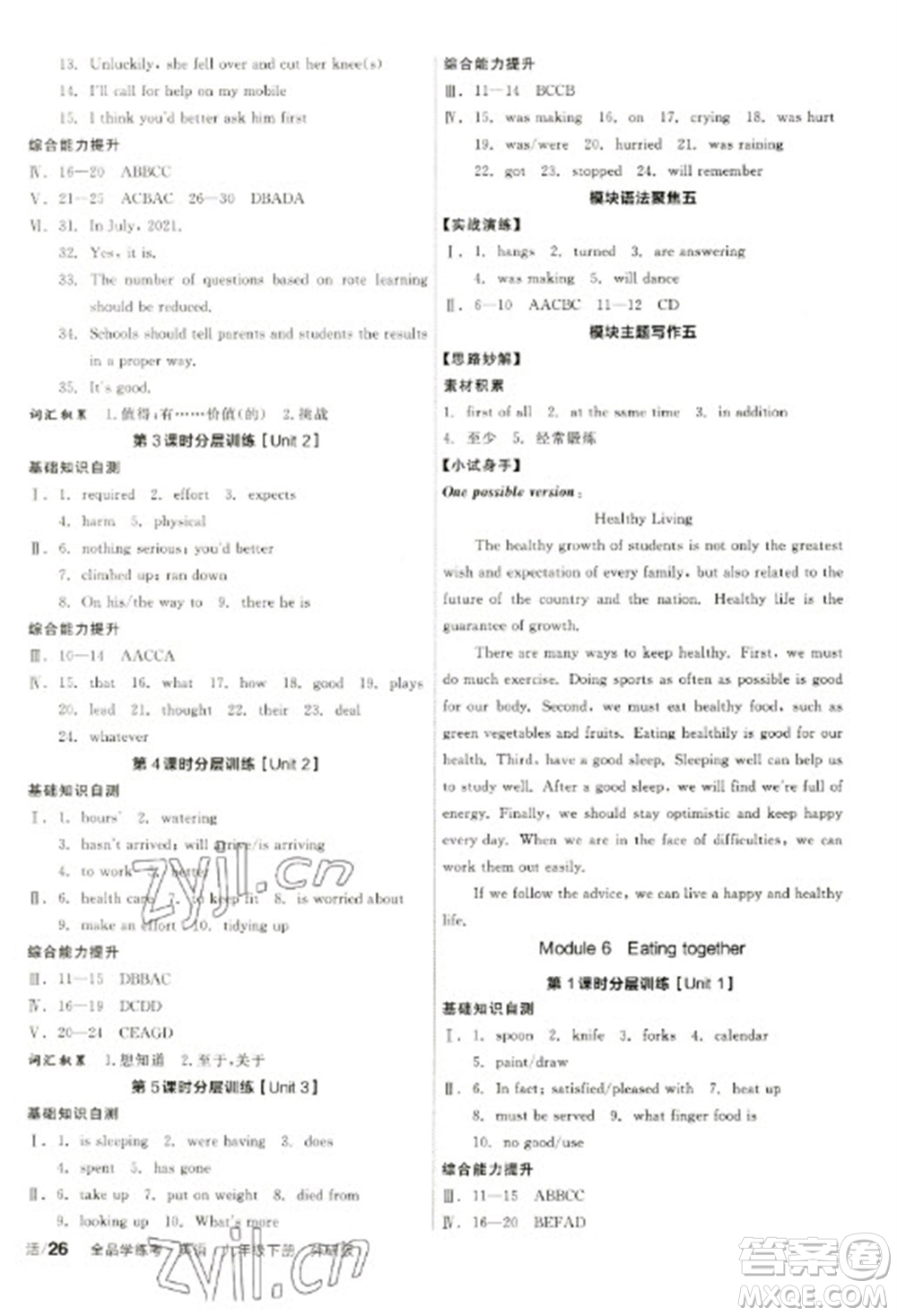 陽光出版社2023全品學(xué)練考九年級(jí)下冊(cè)英語外研版參考答案