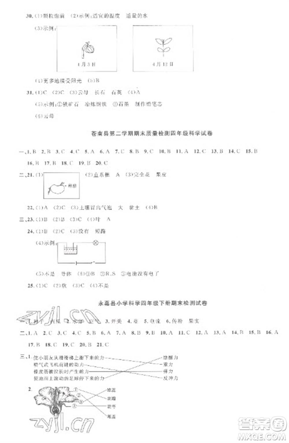 江西教育出版社2023陽光同學(xué)課時(shí)優(yōu)化作業(yè)四年級(jí)科學(xué)下冊教科版參考答案