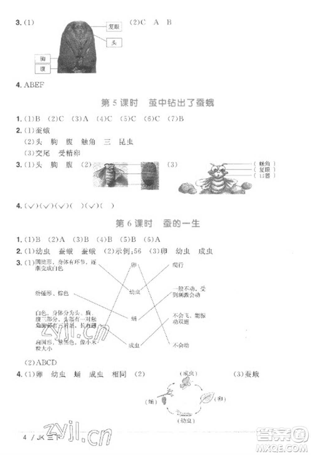 江西教育出版社2023陽光同學課時優(yōu)化作業(yè)三年級科學下冊教科版參考答案