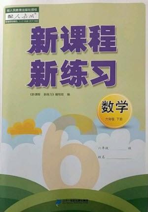 二十一世紀(jì)出版社2023新課程新練習(xí)六年級(jí)數(shù)學(xué)下冊(cè)人教版參考答案