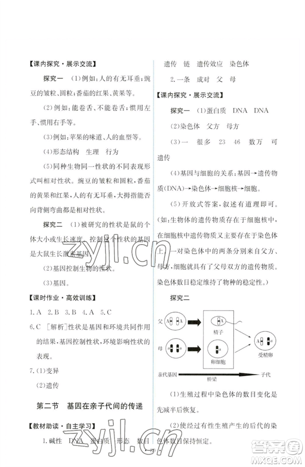 人民教育出版社2023能力培養(yǎng)與測試八年級生物下冊人教版參考答案