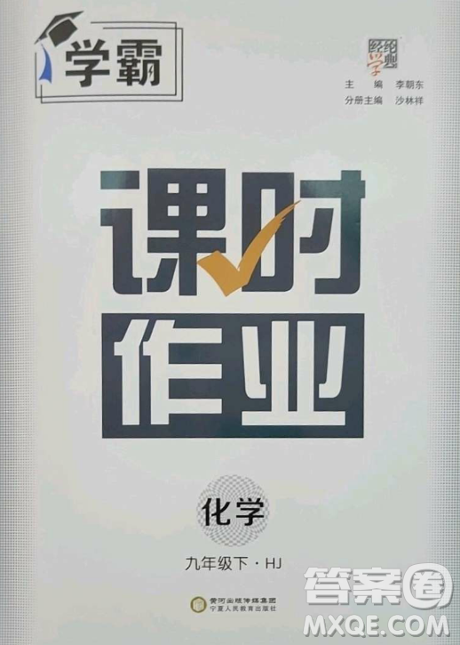 寧夏人民教育出版社2023經(jīng)綸學(xué)典課時(shí)作業(yè)九年級(jí)下冊(cè)化學(xué)滬教版答案