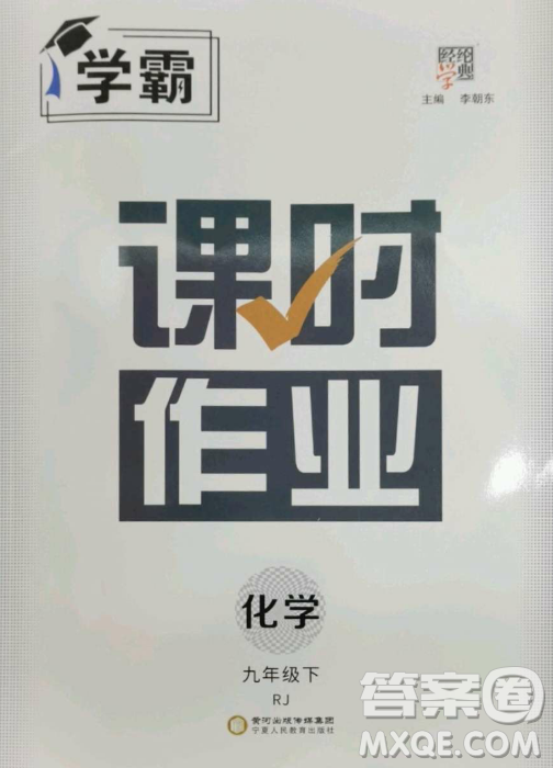 寧夏人民教育出版社2023經(jīng)綸學(xué)典課時(shí)作業(yè)九年級(jí)下冊(cè)化學(xué)人教版答案