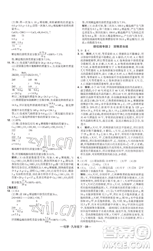 寧夏人民教育出版社2023經(jīng)綸學(xué)典課時(shí)作業(yè)九年級(jí)下冊(cè)化學(xué)人教版答案