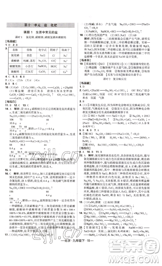 寧夏人民教育出版社2023經(jīng)綸學(xué)典課時(shí)作業(yè)九年級(jí)下冊(cè)化學(xué)人教版答案