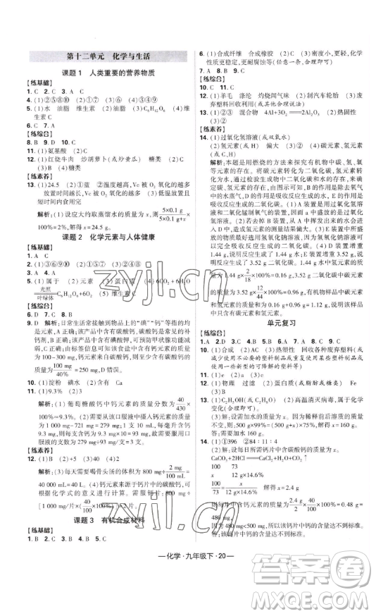 寧夏人民教育出版社2023經(jīng)綸學(xué)典課時(shí)作業(yè)九年級(jí)下冊(cè)化學(xué)人教版答案