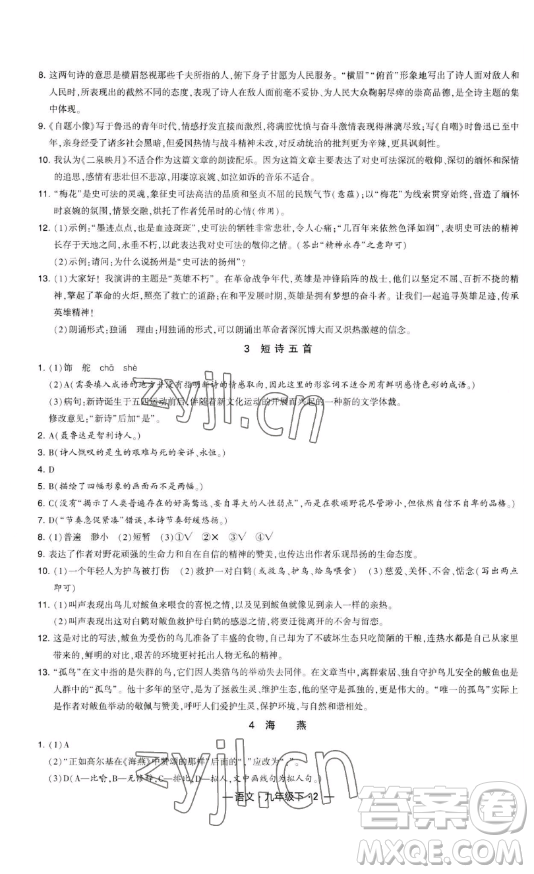 寧夏人民教育出版社2023經(jīng)綸學(xué)典課時(shí)作業(yè)九年級下冊語文人教版答案