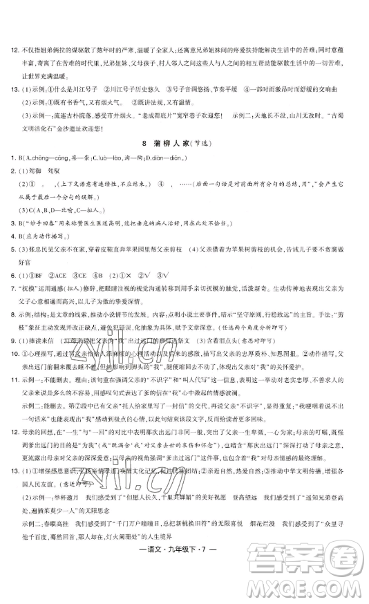 寧夏人民教育出版社2023經(jīng)綸學(xué)典課時(shí)作業(yè)九年級下冊語文人教版答案