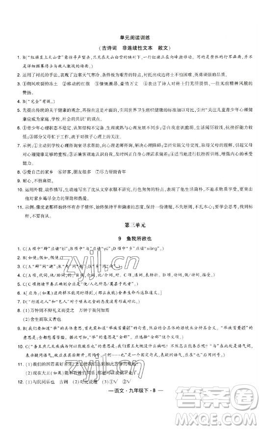 寧夏人民教育出版社2023經(jīng)綸學(xué)典課時(shí)作業(yè)九年級下冊語文人教版答案