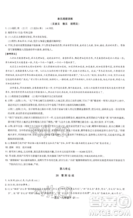 寧夏人民教育出版社2023經(jīng)綸學(xué)典課時(shí)作業(yè)九年級下冊語文人教版答案