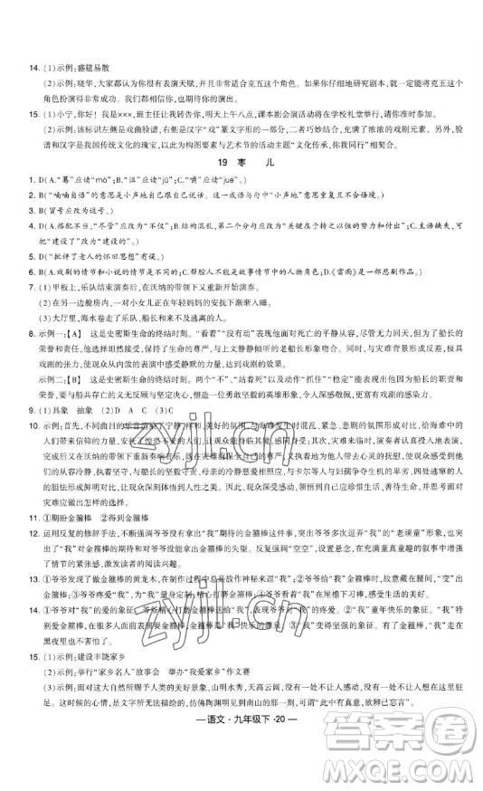 寧夏人民教育出版社2023經(jīng)綸學(xué)典課時(shí)作業(yè)九年級下冊語文人教版答案