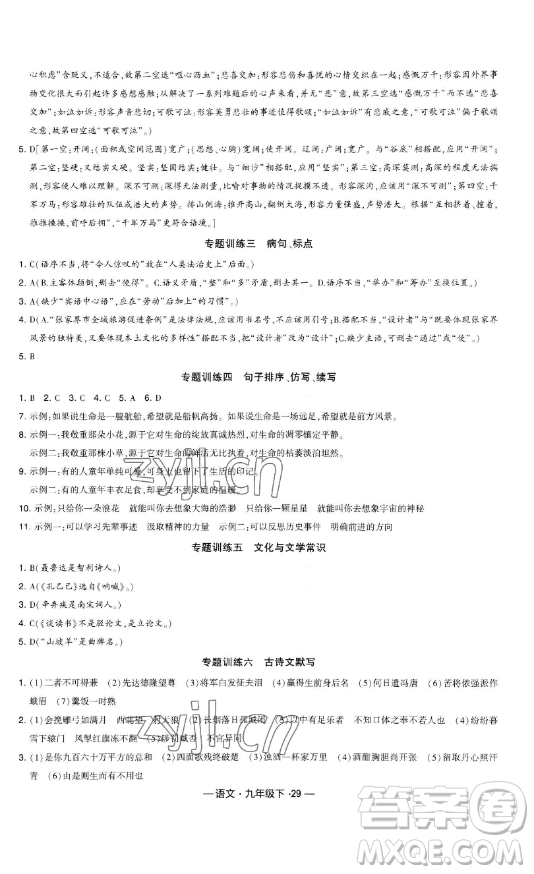 寧夏人民教育出版社2023經(jīng)綸學(xué)典課時(shí)作業(yè)九年級下冊語文人教版答案