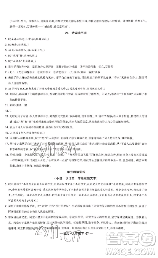 寧夏人民教育出版社2023經(jīng)綸學(xué)典課時(shí)作業(yè)九年級下冊語文人教版答案