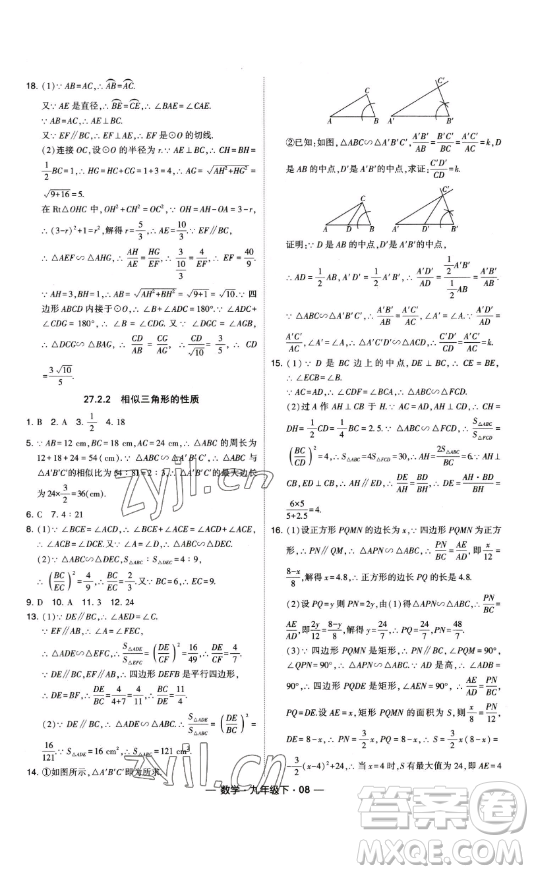 寧夏人民教育出版社2023經(jīng)綸學(xué)典課時(shí)作業(yè)九年級下冊數(shù)學(xué)人教版答案