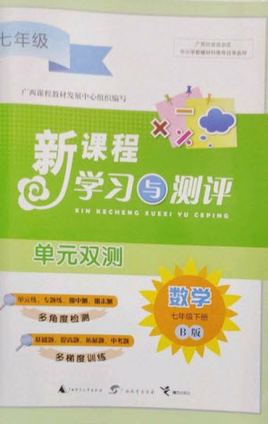 廣西師范大學出版社2023新課程學習與測評單元雙測七年級數(shù)學下冊湘教版參考答案