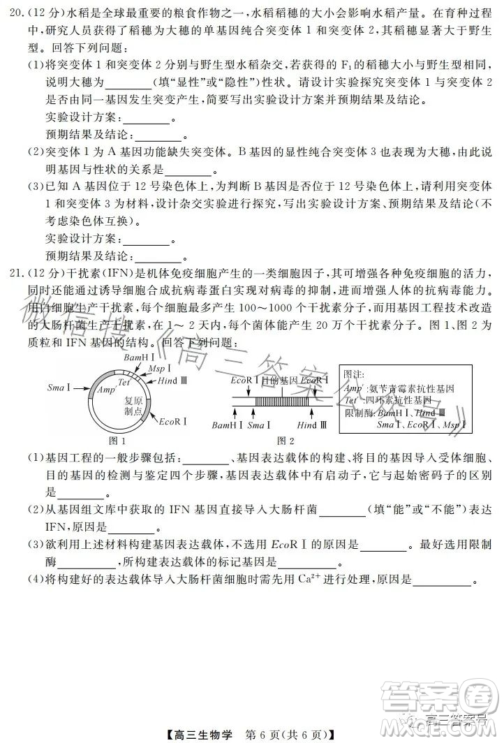 天壹名校聯(lián)盟2023屆高三2月質(zhì)量檢測(cè)生物學(xué)試卷答案