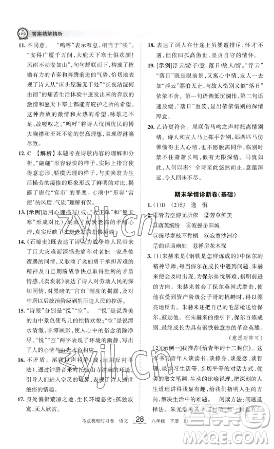 江西人民出版社2023王朝霞考點梳理時習卷八年級下冊語文人教版答案