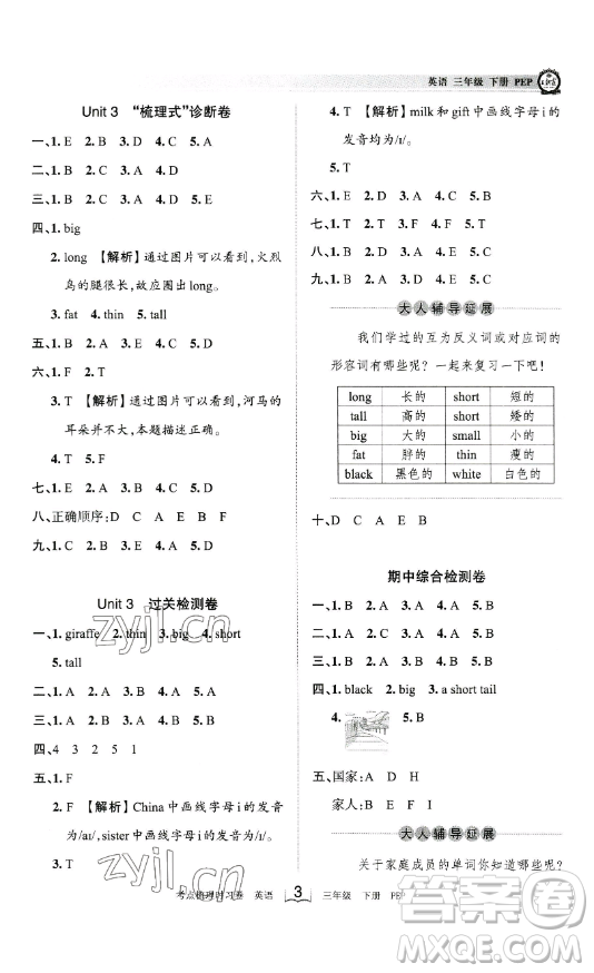 江西人民出版社2023王朝霞考點梳理時習(xí)卷三年級下冊英語人教PEP版答案