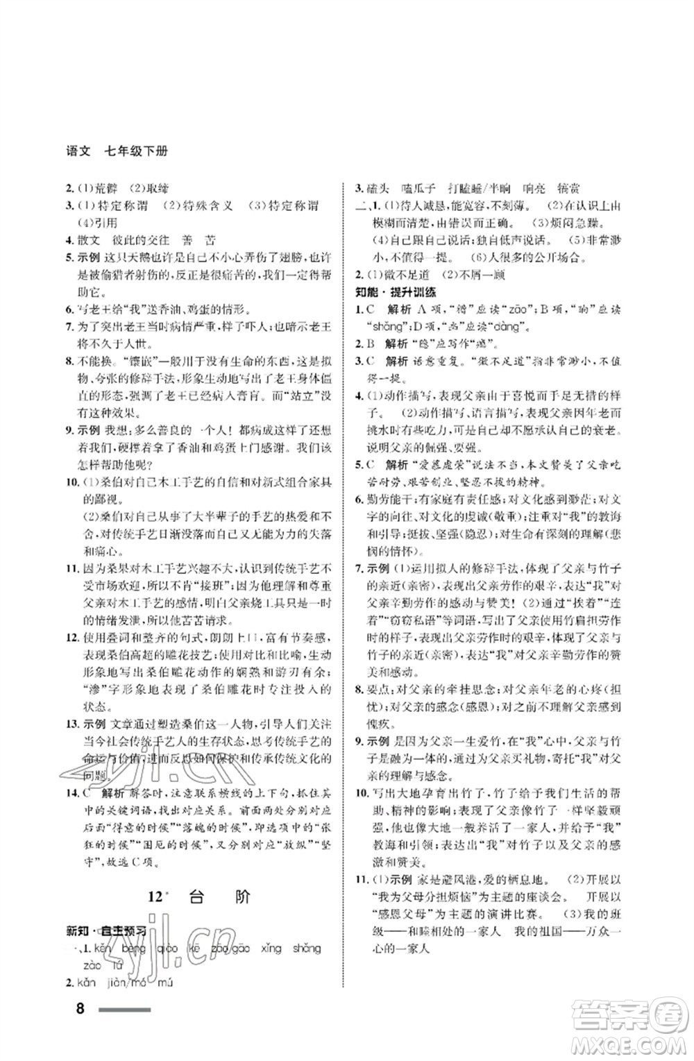 甘肅少年兒童出版社2023語文配套綜合練習(xí)七年級(jí)下冊(cè)人教版參考答案