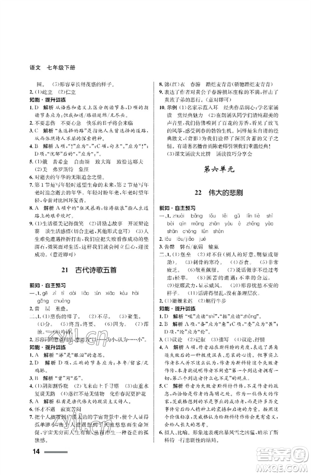 甘肅少年兒童出版社2023語文配套綜合練習(xí)七年級(jí)下冊(cè)人教版參考答案