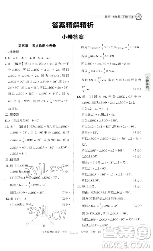 江西人民出版社2023王朝霞考點(diǎn)梳理時(shí)習(xí)卷七年級下冊數(shù)學(xué)人教版答案