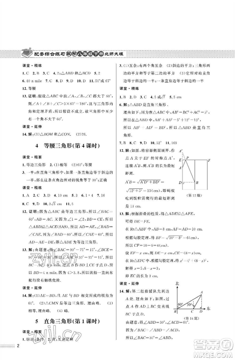 北京師范大學(xué)出版社2023數(shù)學(xué)配套綜合練習(xí)八年級下冊北師大版參考答案