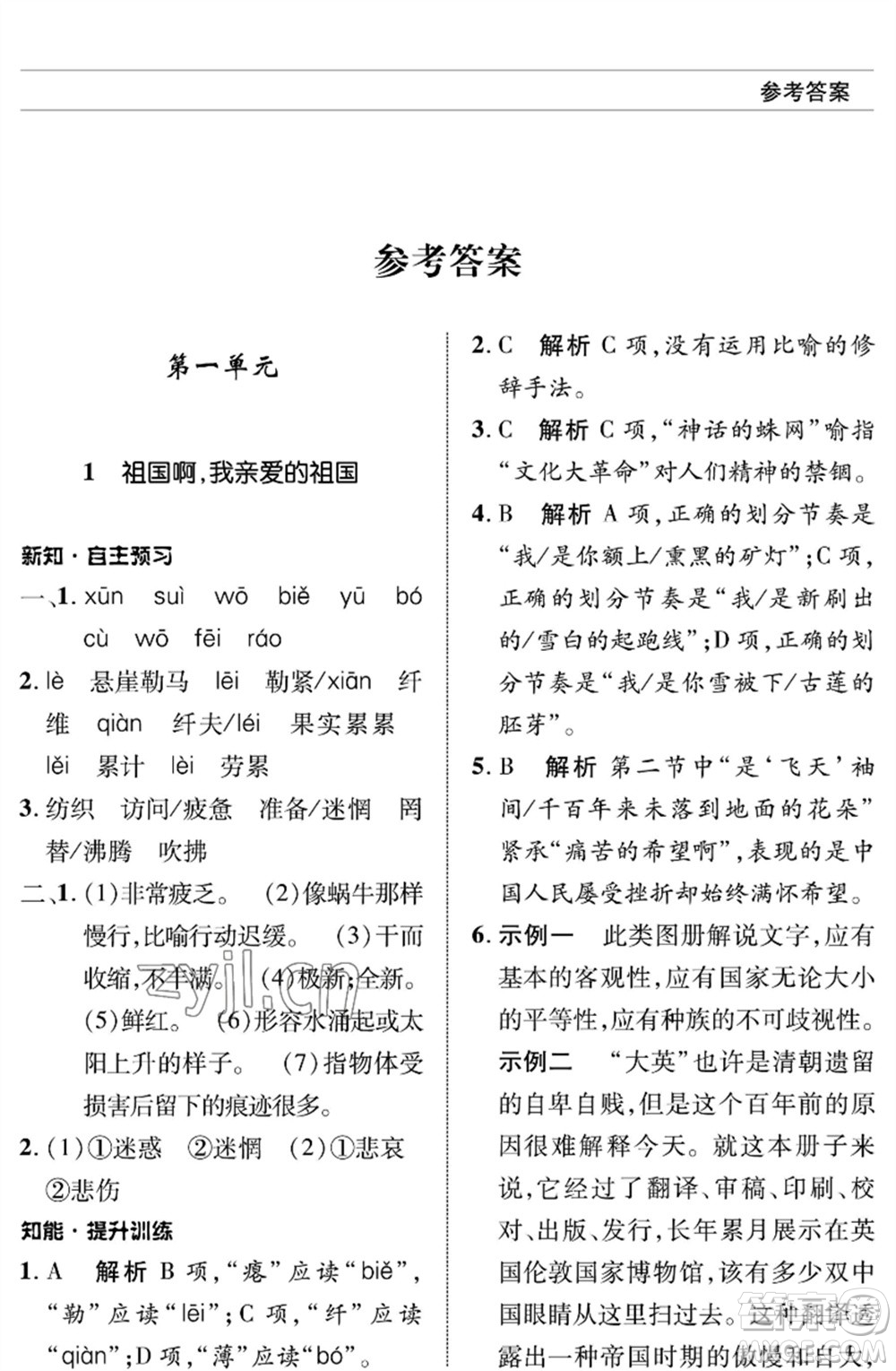 北京師范大學(xué)出版社2023語(yǔ)文配套綜合練習(xí)九年級(jí)下冊(cè)人教版參考答案