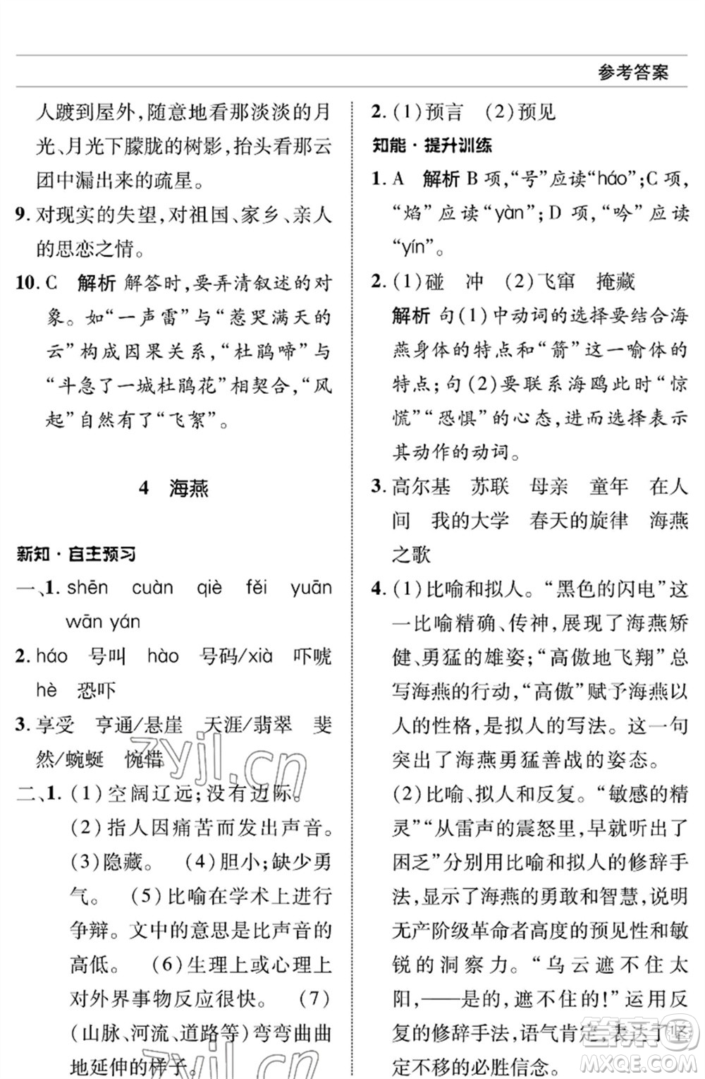 北京師范大學(xué)出版社2023語(yǔ)文配套綜合練習(xí)九年級(jí)下冊(cè)人教版參考答案