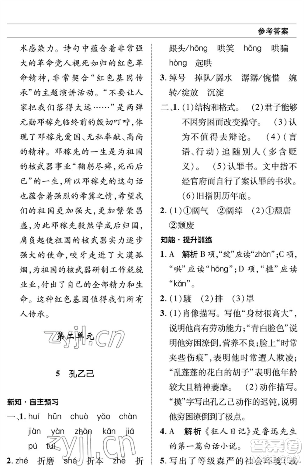 北京師范大學(xué)出版社2023語(yǔ)文配套綜合練習(xí)九年級(jí)下冊(cè)人教版參考答案