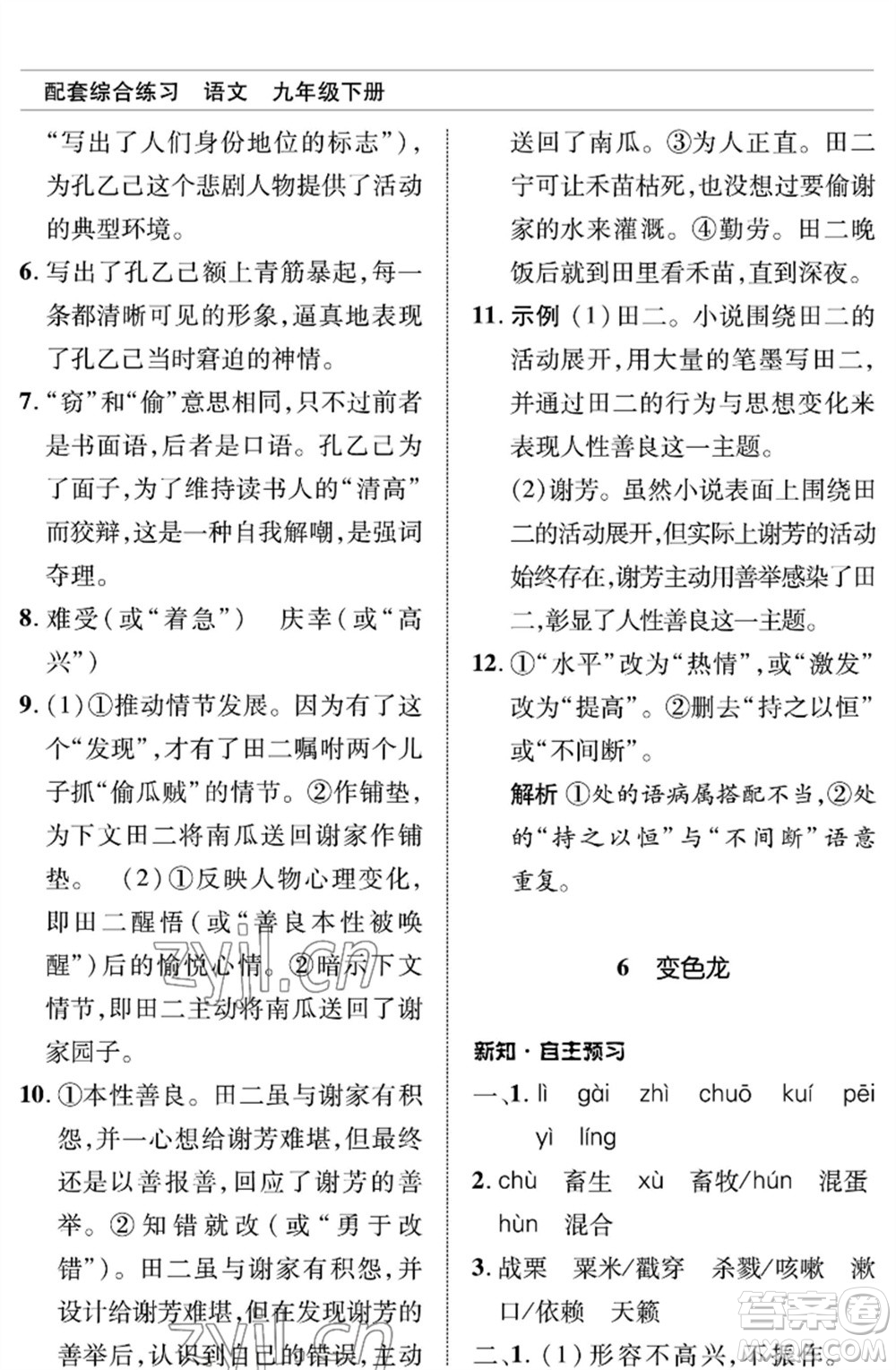 北京師范大學(xué)出版社2023語(yǔ)文配套綜合練習(xí)九年級(jí)下冊(cè)人教版參考答案