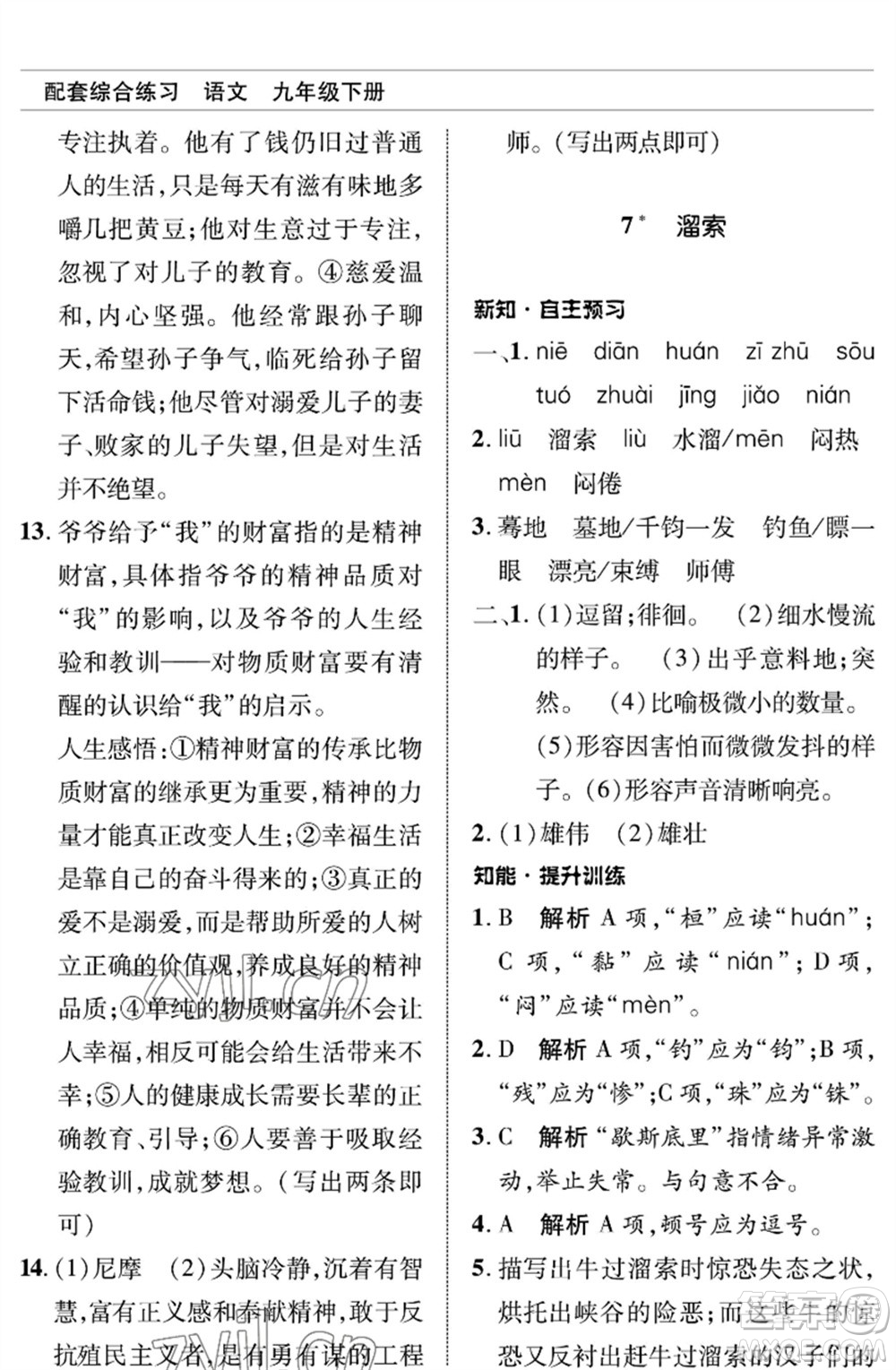 北京師范大學(xué)出版社2023語(yǔ)文配套綜合練習(xí)九年級(jí)下冊(cè)人教版參考答案