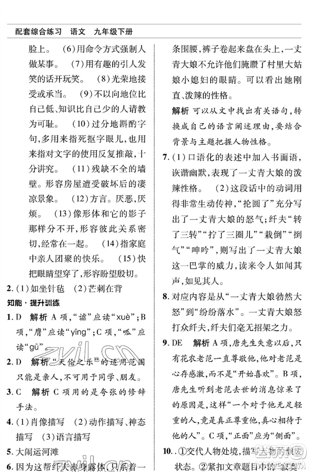 北京師范大學(xué)出版社2023語(yǔ)文配套綜合練習(xí)九年級(jí)下冊(cè)人教版參考答案