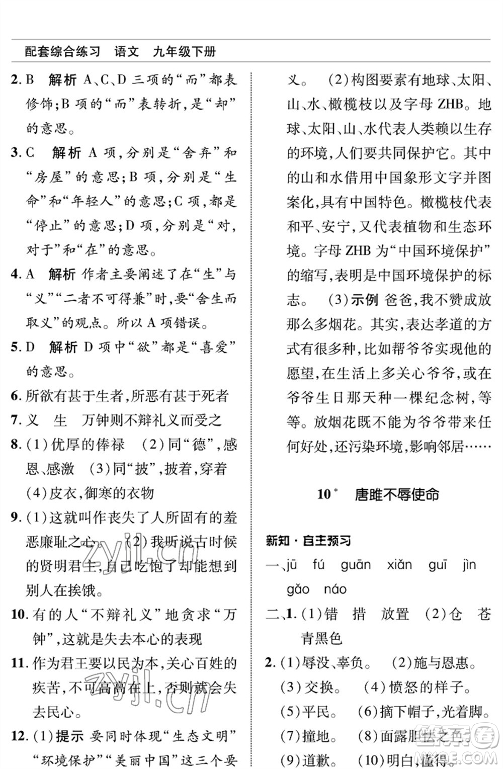 北京師范大學(xué)出版社2023語(yǔ)文配套綜合練習(xí)九年級(jí)下冊(cè)人教版參考答案