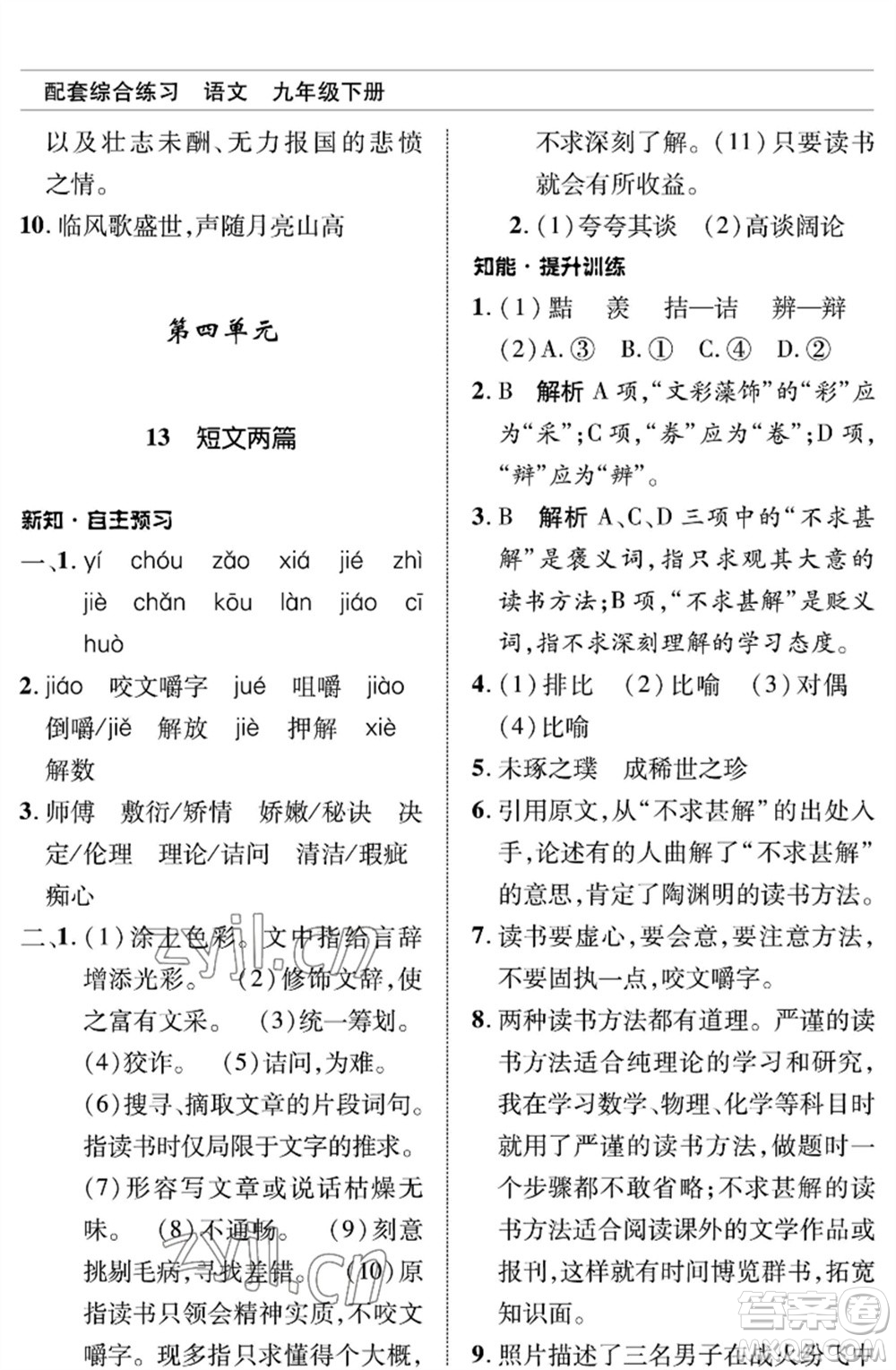 北京師范大學(xué)出版社2023語(yǔ)文配套綜合練習(xí)九年級(jí)下冊(cè)人教版參考答案