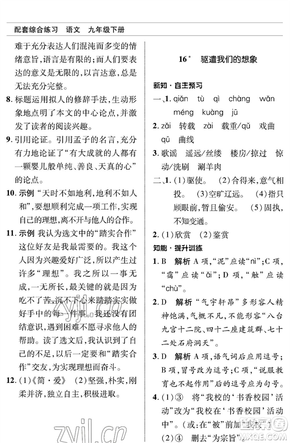 北京師范大學(xué)出版社2023語(yǔ)文配套綜合練習(xí)九年級(jí)下冊(cè)人教版參考答案