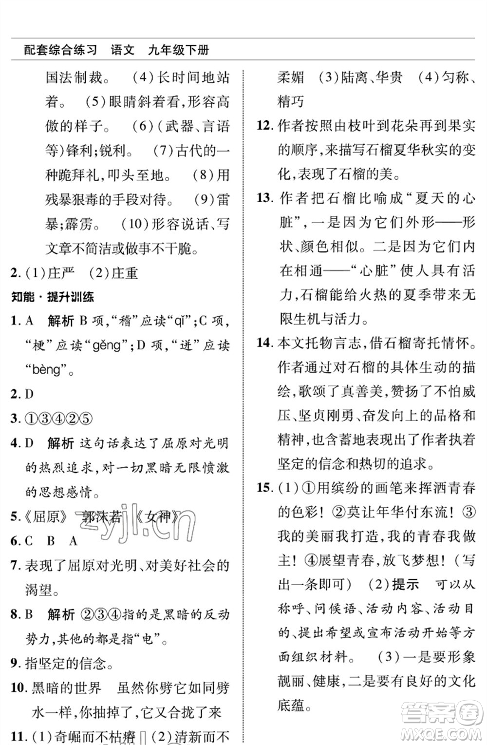 北京師范大學(xué)出版社2023語(yǔ)文配套綜合練習(xí)九年級(jí)下冊(cè)人教版參考答案