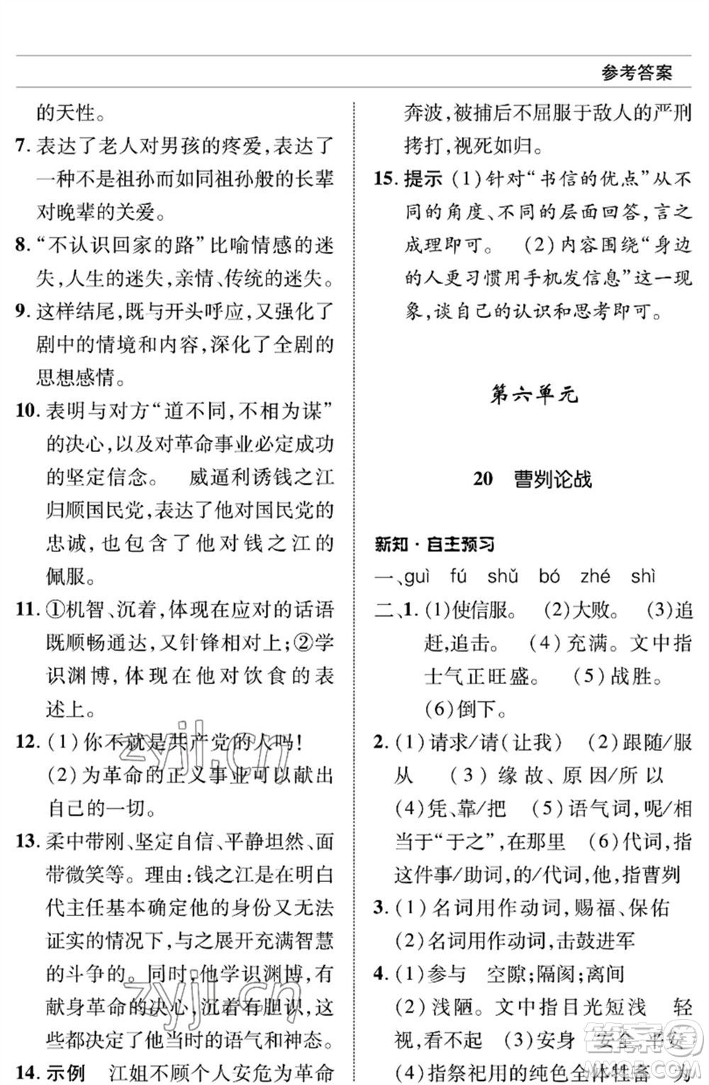 北京師范大學(xué)出版社2023語(yǔ)文配套綜合練習(xí)九年級(jí)下冊(cè)人教版參考答案