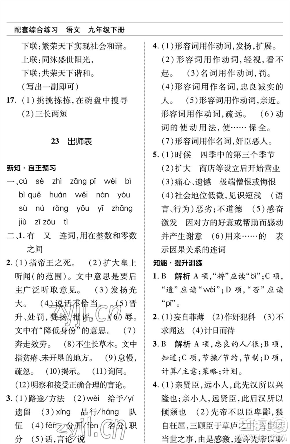 北京師范大學(xué)出版社2023語(yǔ)文配套綜合練習(xí)九年級(jí)下冊(cè)人教版參考答案