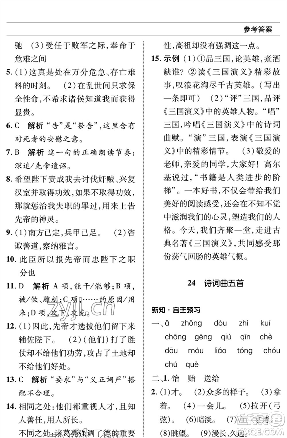 北京師范大學(xué)出版社2023語(yǔ)文配套綜合練習(xí)九年級(jí)下冊(cè)人教版參考答案