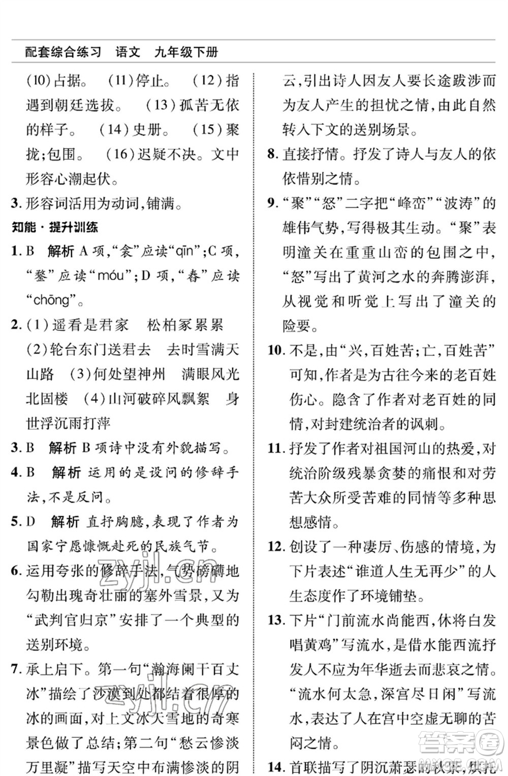 北京師范大學(xué)出版社2023語(yǔ)文配套綜合練習(xí)九年級(jí)下冊(cè)人教版參考答案