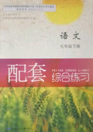 甘肅少年兒童出版社2023語文配套綜合練習(xí)七年級(jí)下冊(cè)人教版參考答案