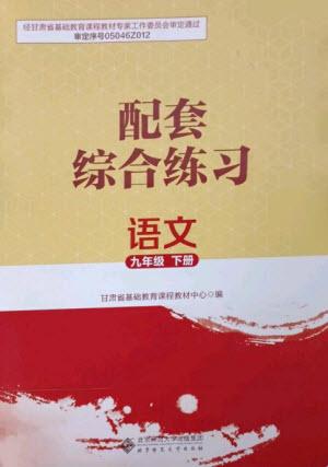 北京師范大學(xué)出版社2023語(yǔ)文配套綜合練習(xí)九年級(jí)下冊(cè)人教版參考答案