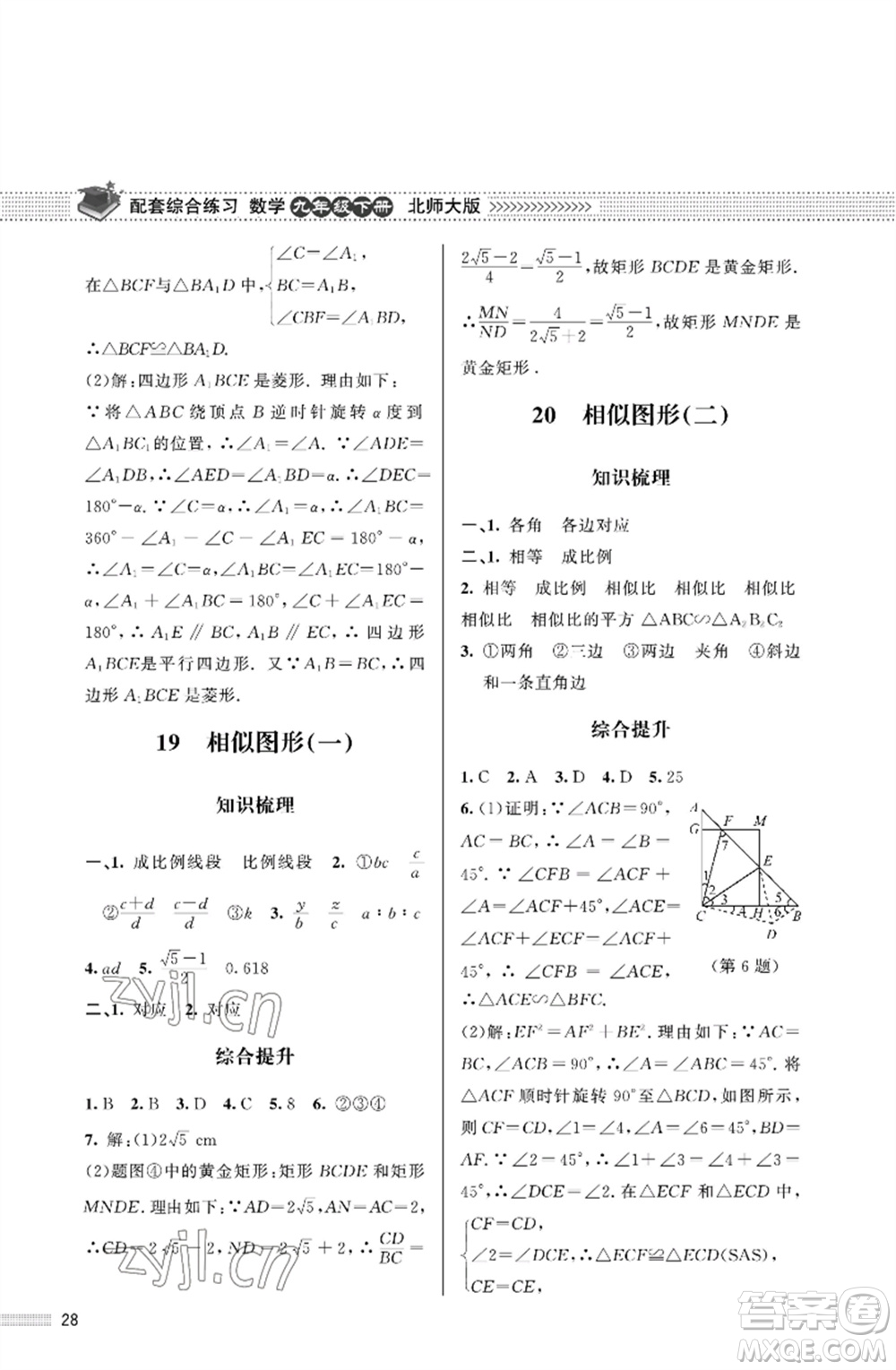 北京師范大學(xué)出版社2023數(shù)學(xué)配套綜合練習(xí)九年級下冊北師大版參考答案