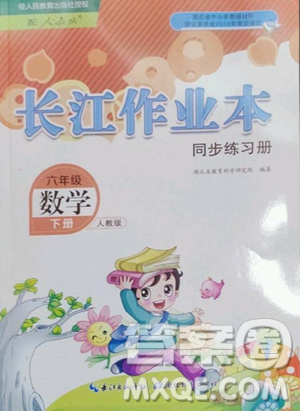 湖北教育出版社2023長(zhǎng)江作業(yè)本同步練習(xí)冊(cè)六年級(jí)數(shù)學(xué)下冊(cè)人教版參考答案