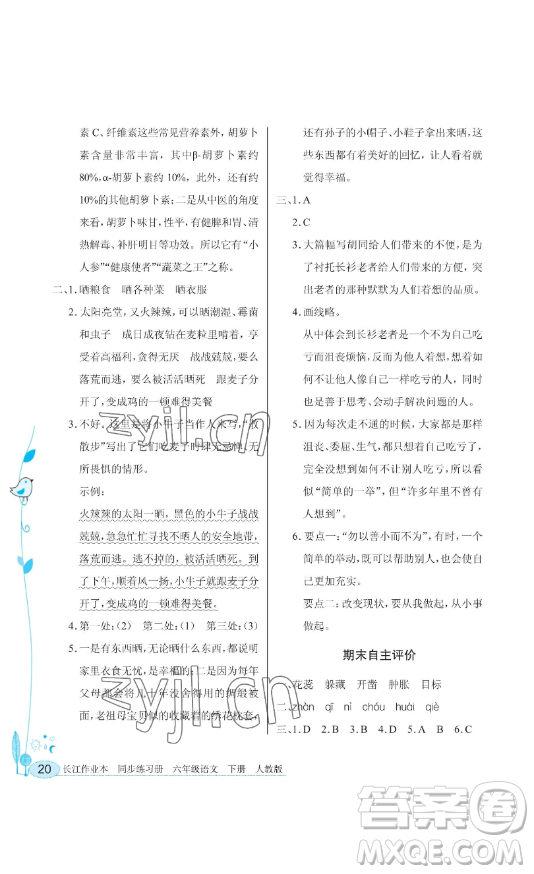 湖北教育出版社2023長江作業(yè)本同步練習冊六年級語文下冊人教版參考答案