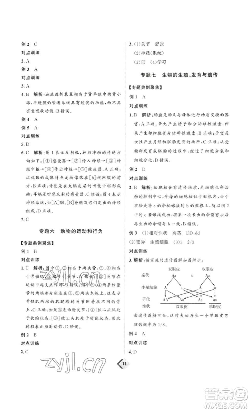 延邊教育出版社2023最新版優(yōu)+學(xué)案贏在中考生物講練版魯教版54學(xué)制答案