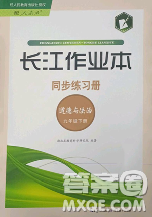 湖北教育出版社2023長江作業(yè)本同步練習冊九年級道德與法治下冊人教版參考答案